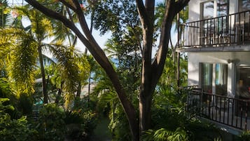 Jardín