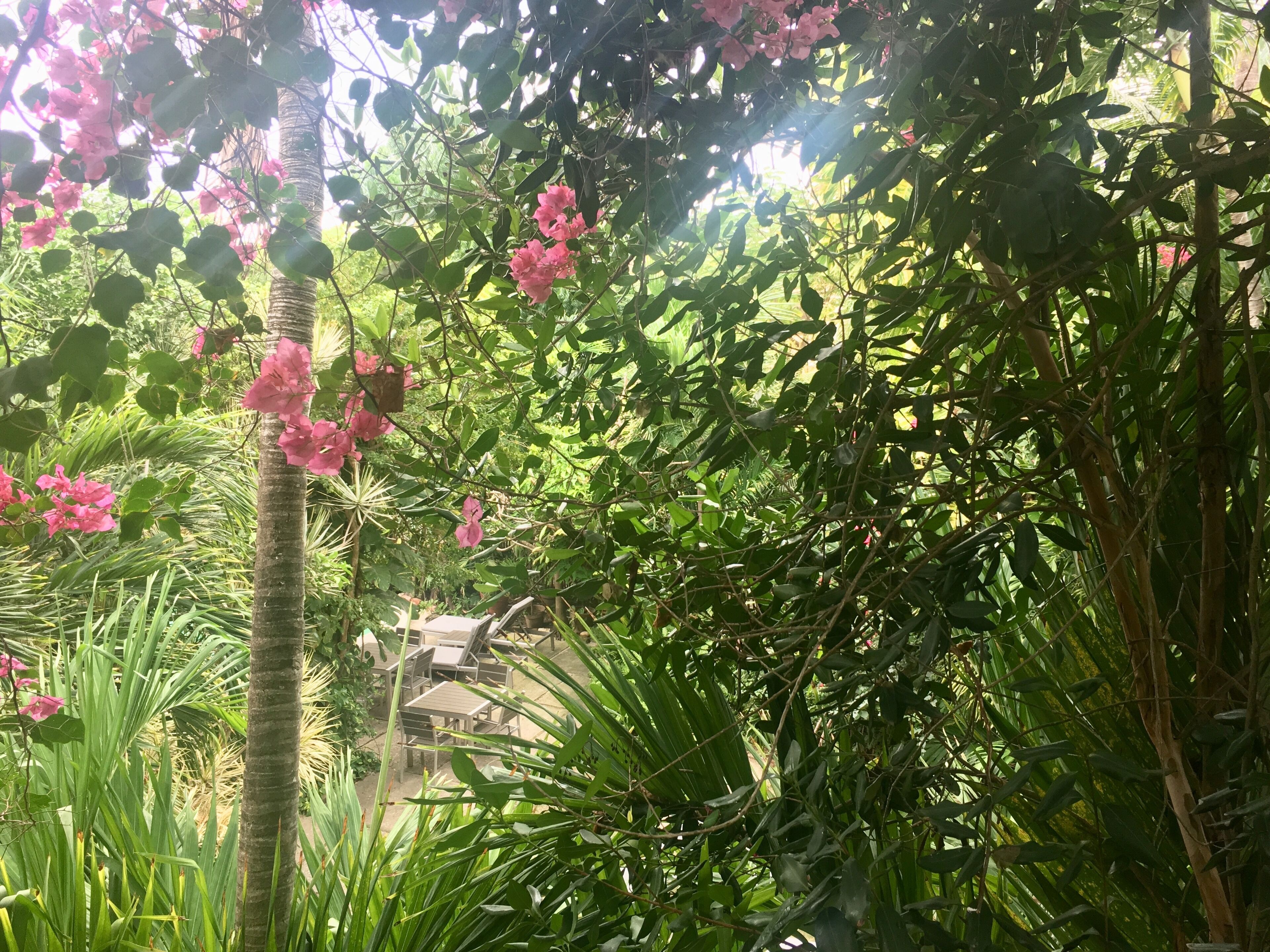 suite, 1 bedroom, garden view | garden view