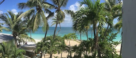 Une vue sur la plage, avec des palmiers et un ciel dégagé.