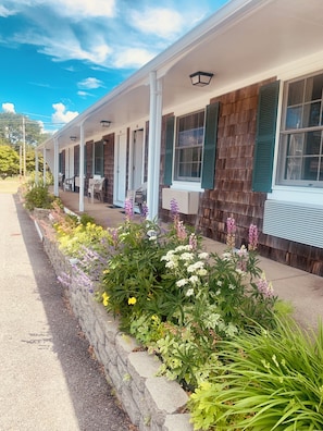 Exterior - The Chatham Motel (Chatham)