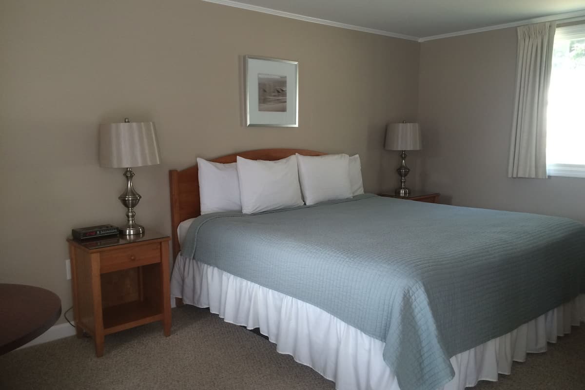Standard Room, 1 King Bed | Iron/ironing board, free WiFi, bed sheets
