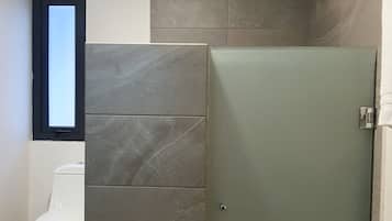 A bathroom with a toilet, a shower, and a door.