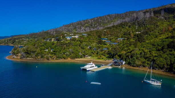 A coastal area with a marina, boats, and houses on a hillside.