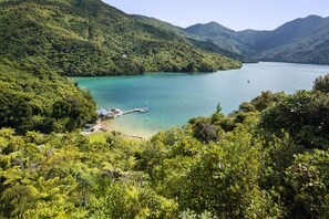 A lush, green landscape with a clear lake, a dock, and a small building.