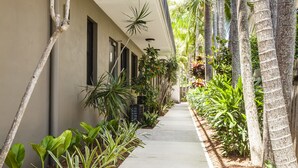 A narrow pathway flanked by lush greenery and tall palm trees, leading to a building with multiple windows and a beige facade. - Julians Apartments (Byron Bay)