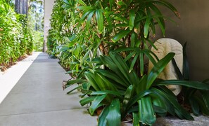 Exterior - Julians Apartments (Byron Bay)