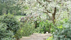 Property grounds - The French Country House (Whakamarama)