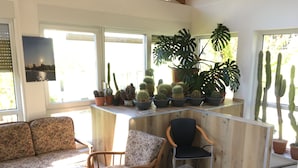 A cozy room with a wooden partition, a sofa, a chair, a small table with a plant, and a variety of potted cacti and succulents.