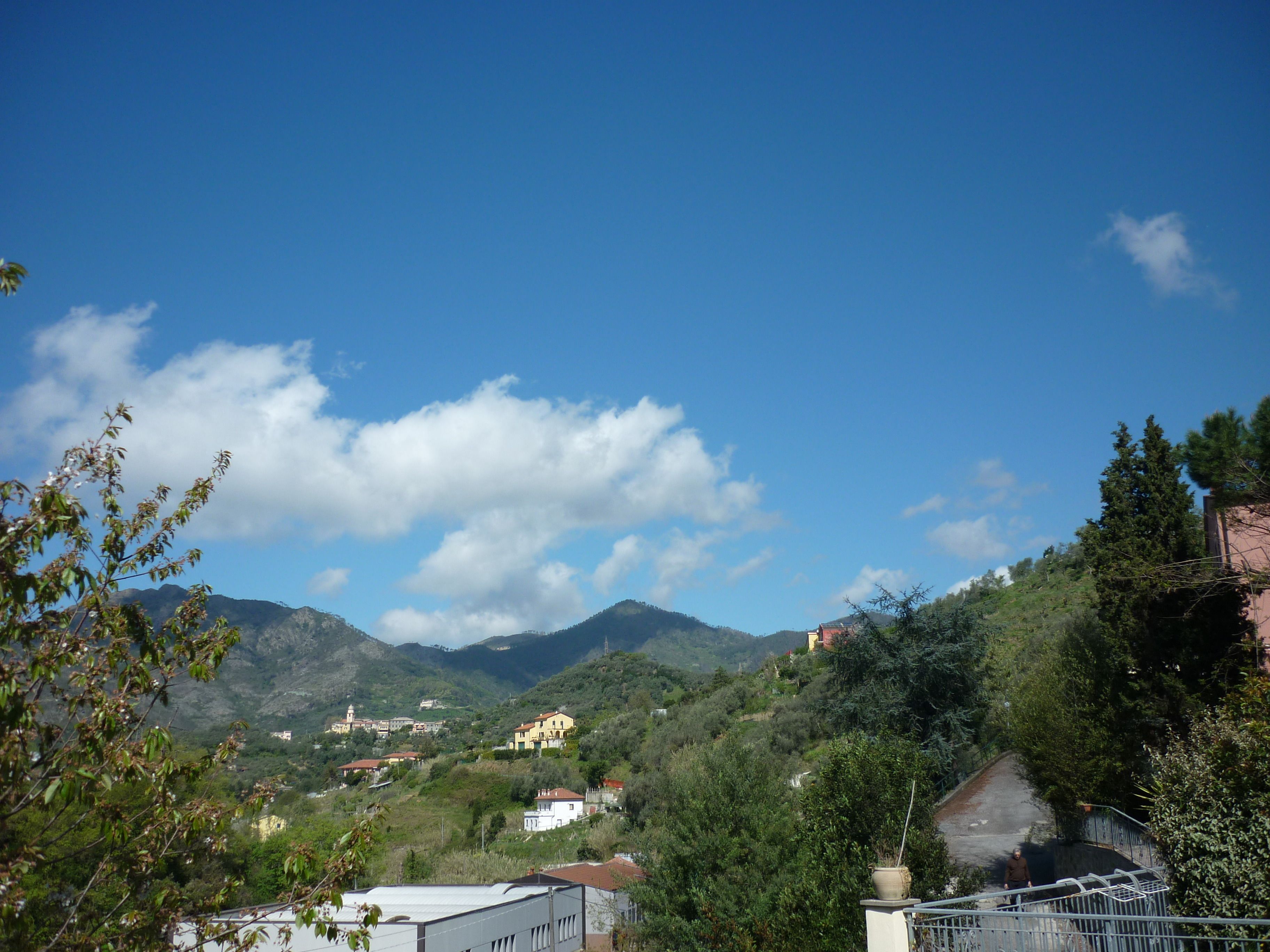 Un paisaje montañoso con edificios y vegetación.