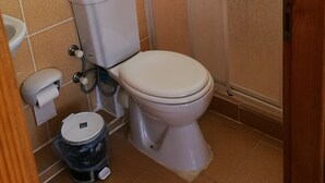 Et lille badeværelse med toilet, vask og skraldespand.