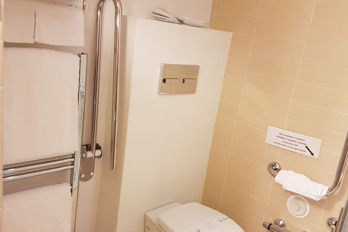 A bathroom with a toilet, a handrail, a shower, and a sign indicating the use of the toilet.
