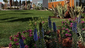 A modern building with multiple windows and a well-maintained lawn with various plants and flowers. - Cosmopolitan Hotel (Civitanova Marche)