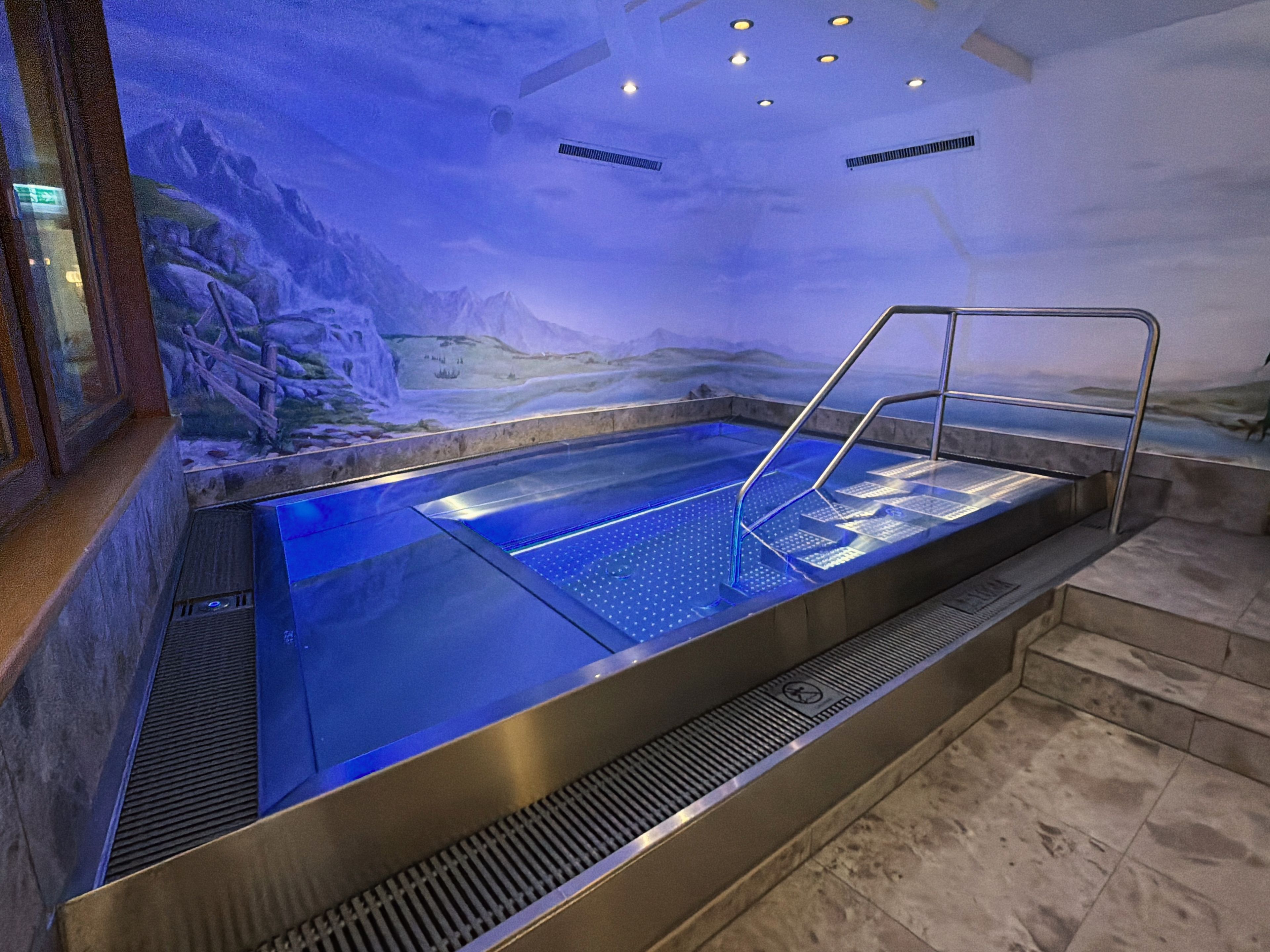A hot tub with a mountain landscape mural, a metal railing, and a tiled floor.