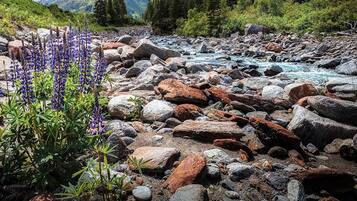 A rocky riverbed with large boulders and a small patch of purple flowers.
