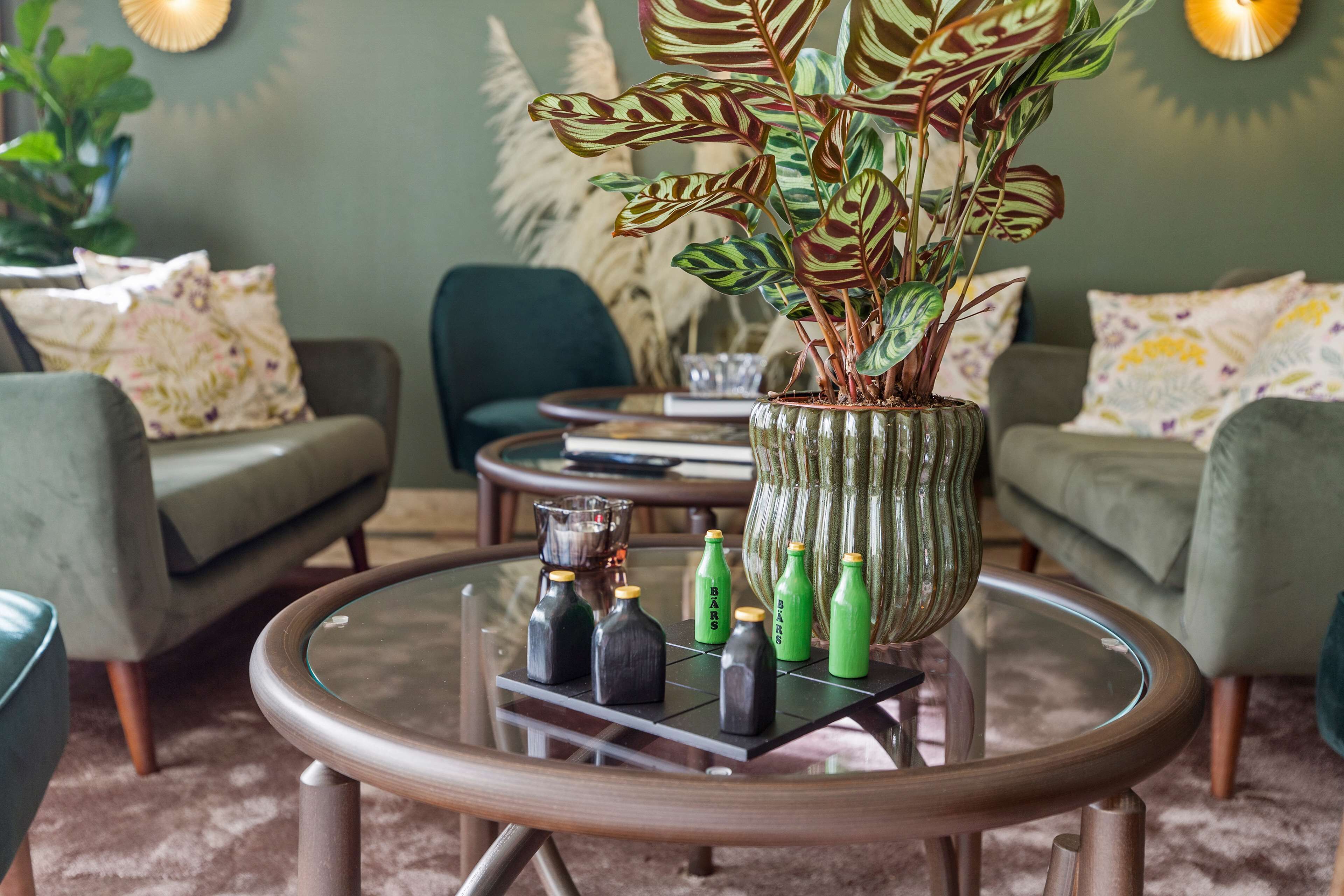 A modern living room with a glass coffee table, green sofas, and a decorative plant.