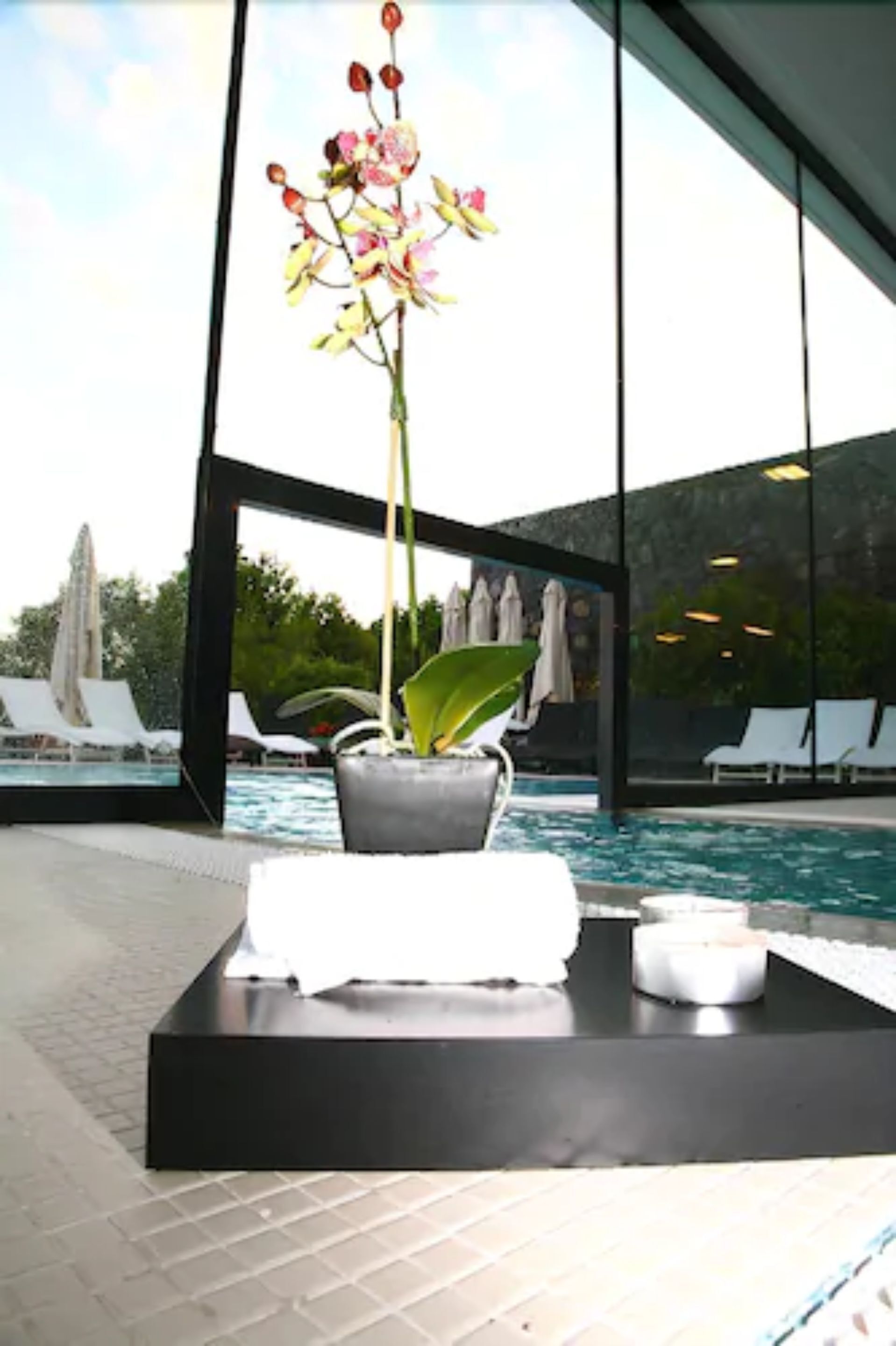 A modern indoor pool area with a large window, lounge chairs, and a potted orchid.