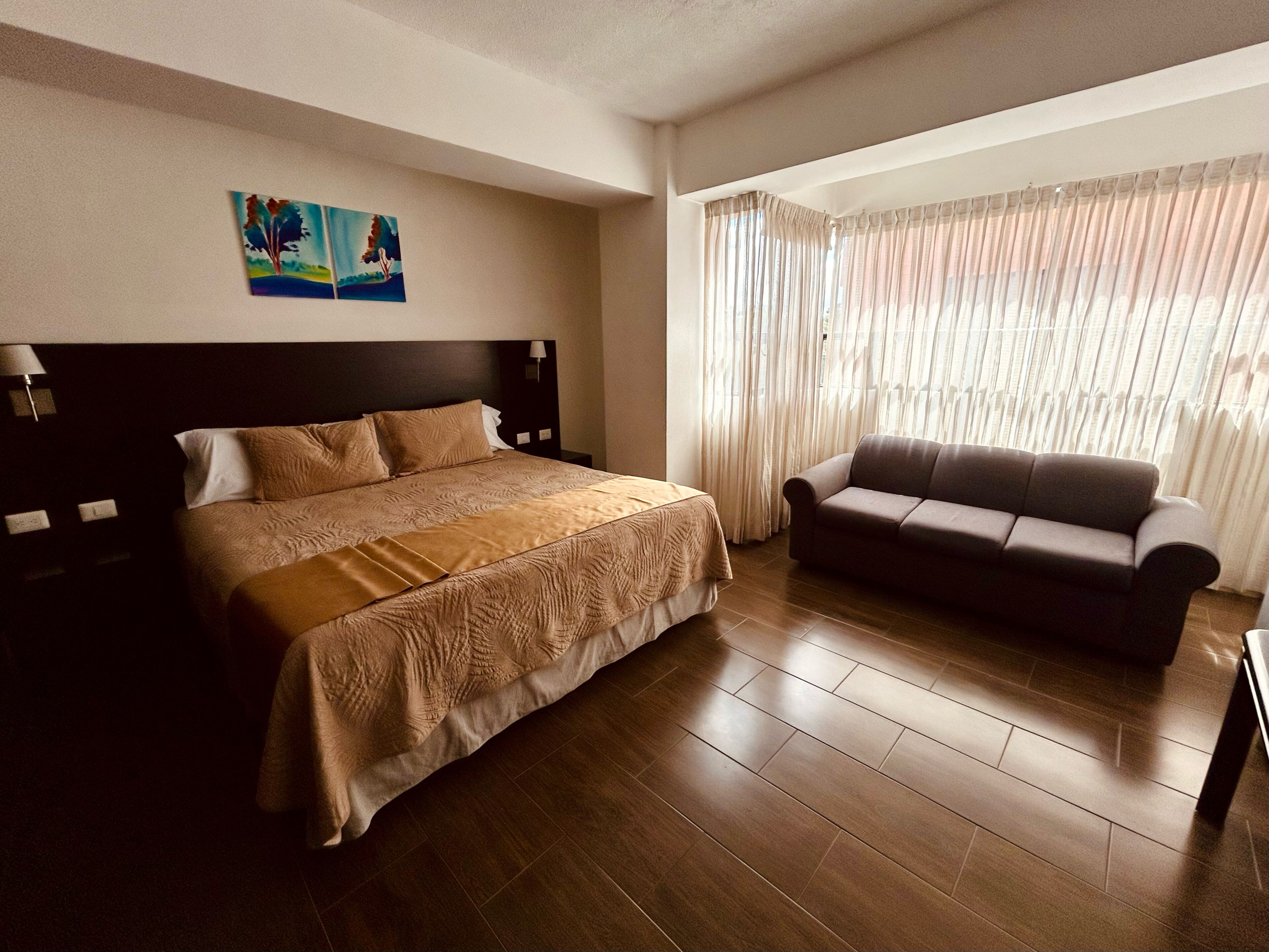 Caja fuerte, escritorio, cortinas opacas y tabla de planchar con plancha