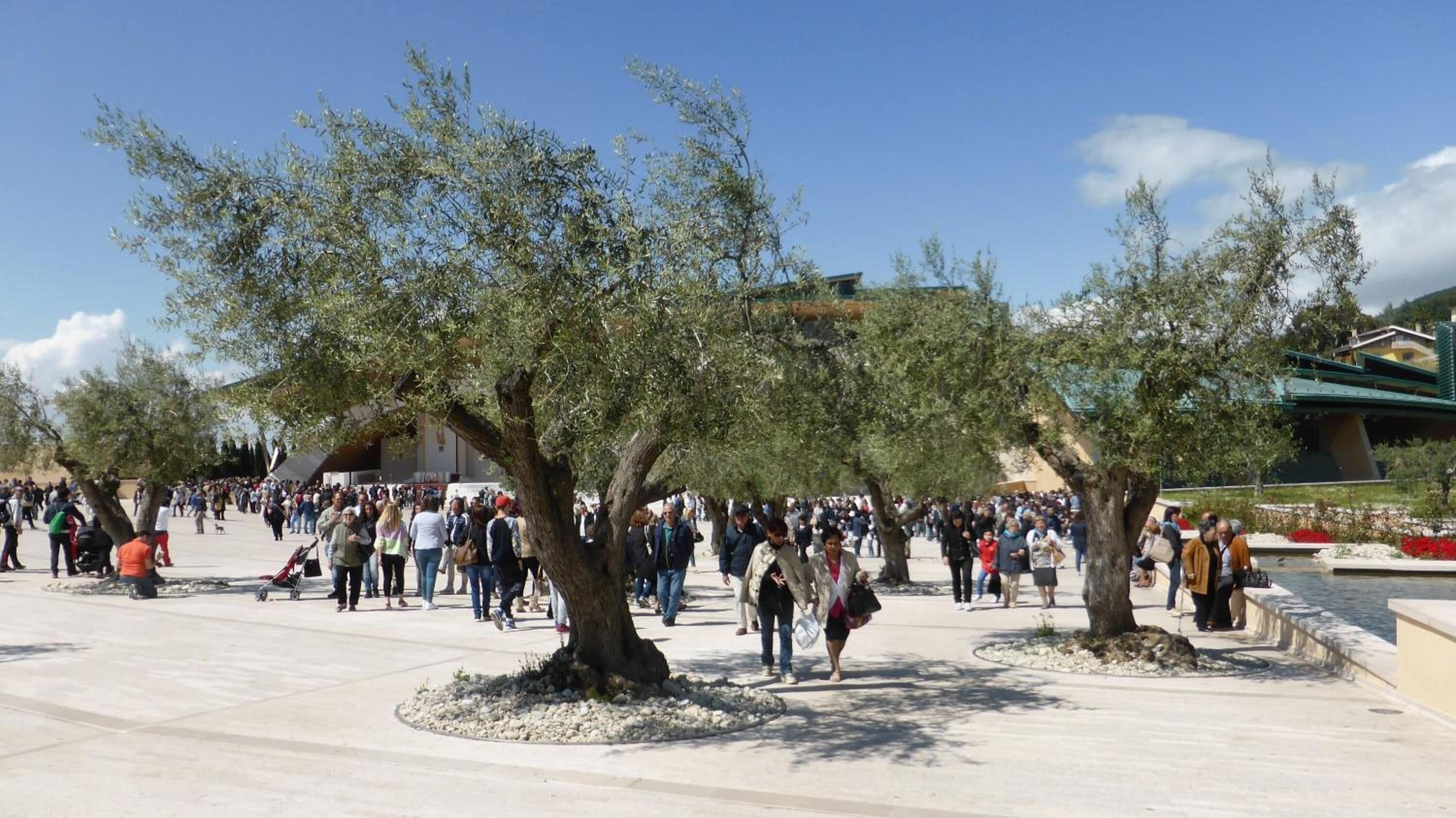 Foto - Hotel Vittoria