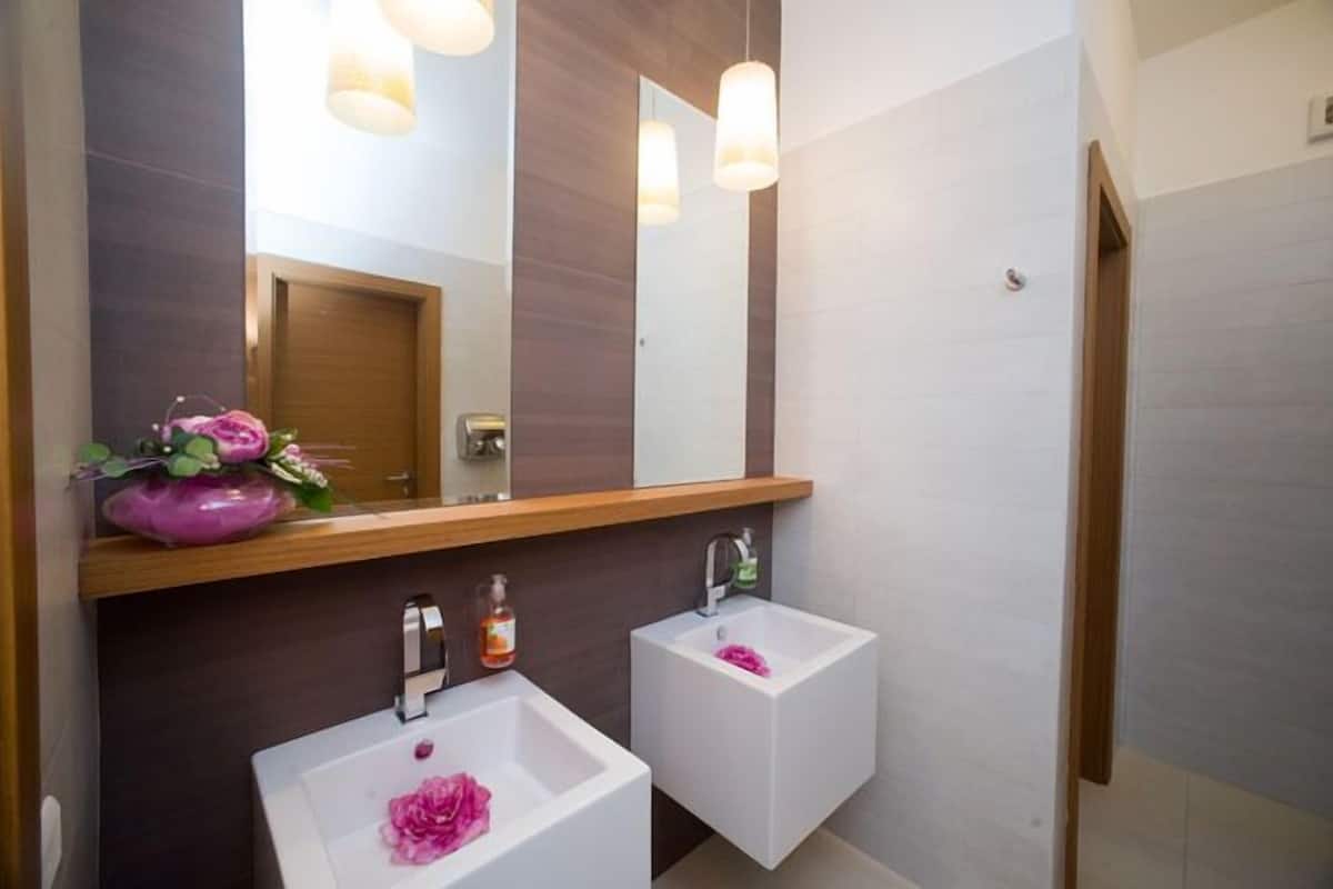 shower, free toiletries, hair dryer, bidet