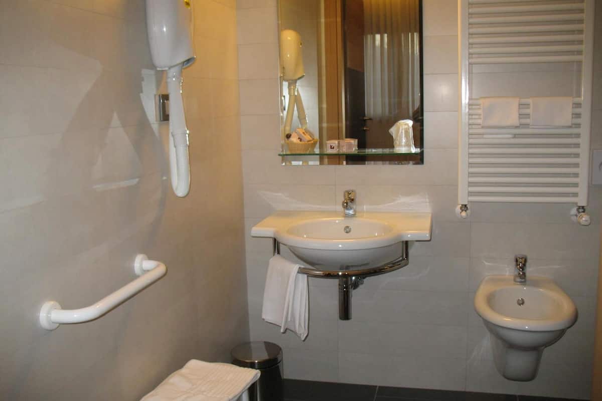 shower, free toiletries, hair dryer, bidet