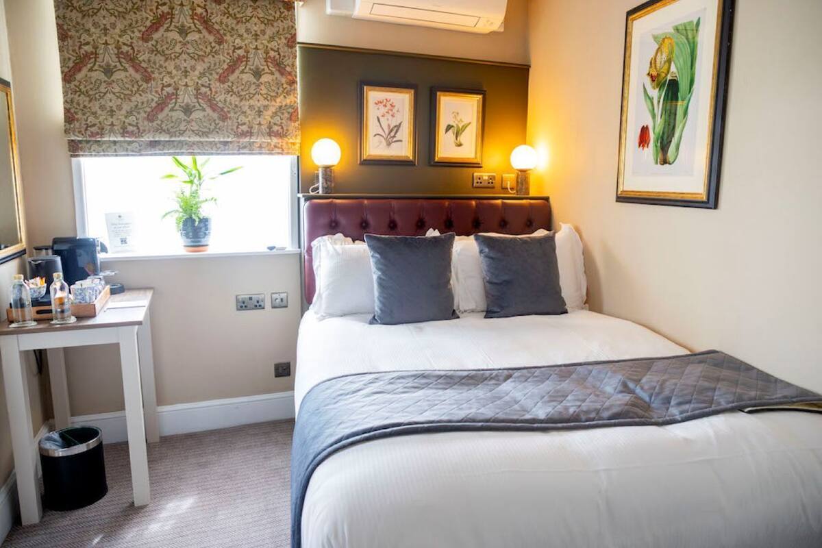 Habitación de hotel con cama, mesita de noche, lámpara, cuadro enmarco y ventana con planta.