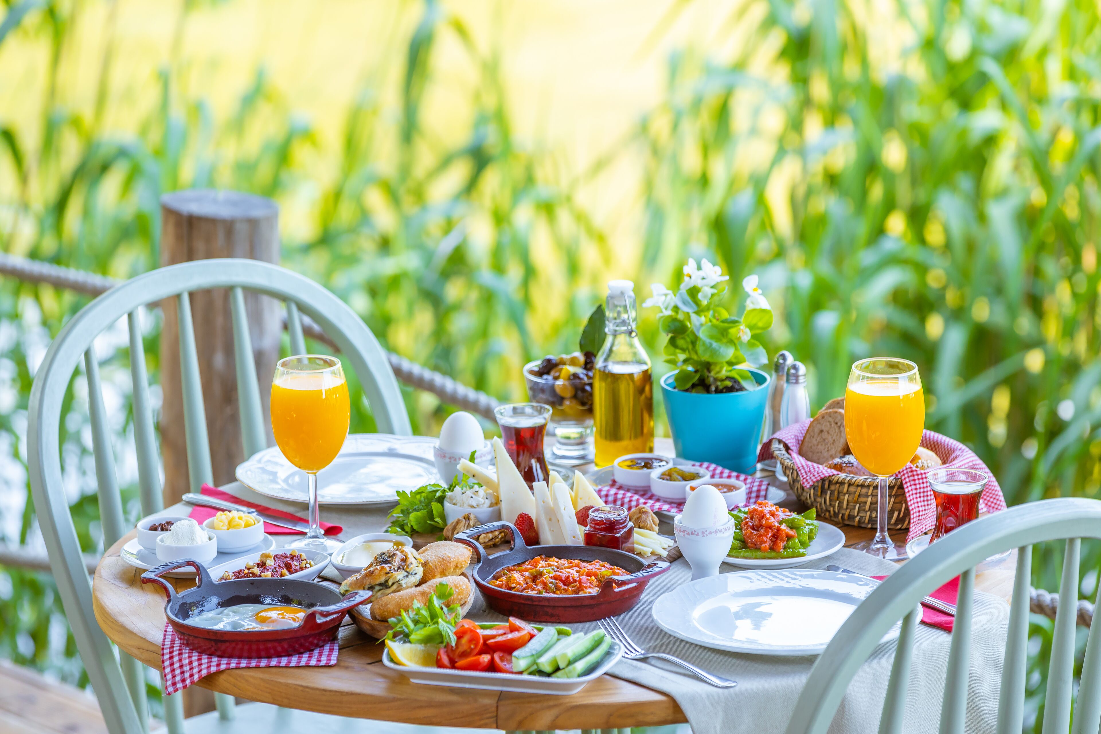 Une table de petit-déjeuner installée à l’extérieur, avec différents plats, boissons et une vue sur la verdure.
