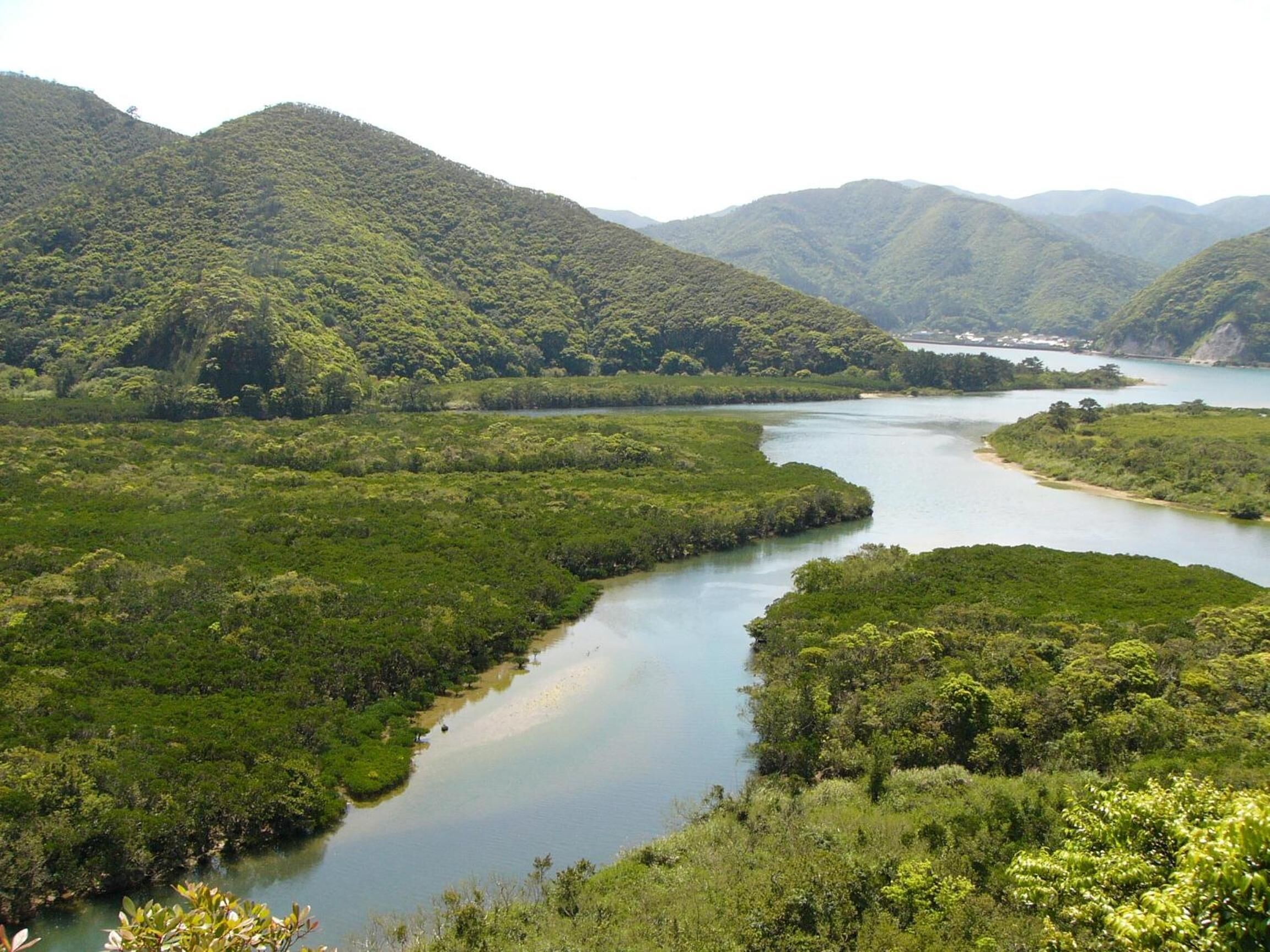 Hồ