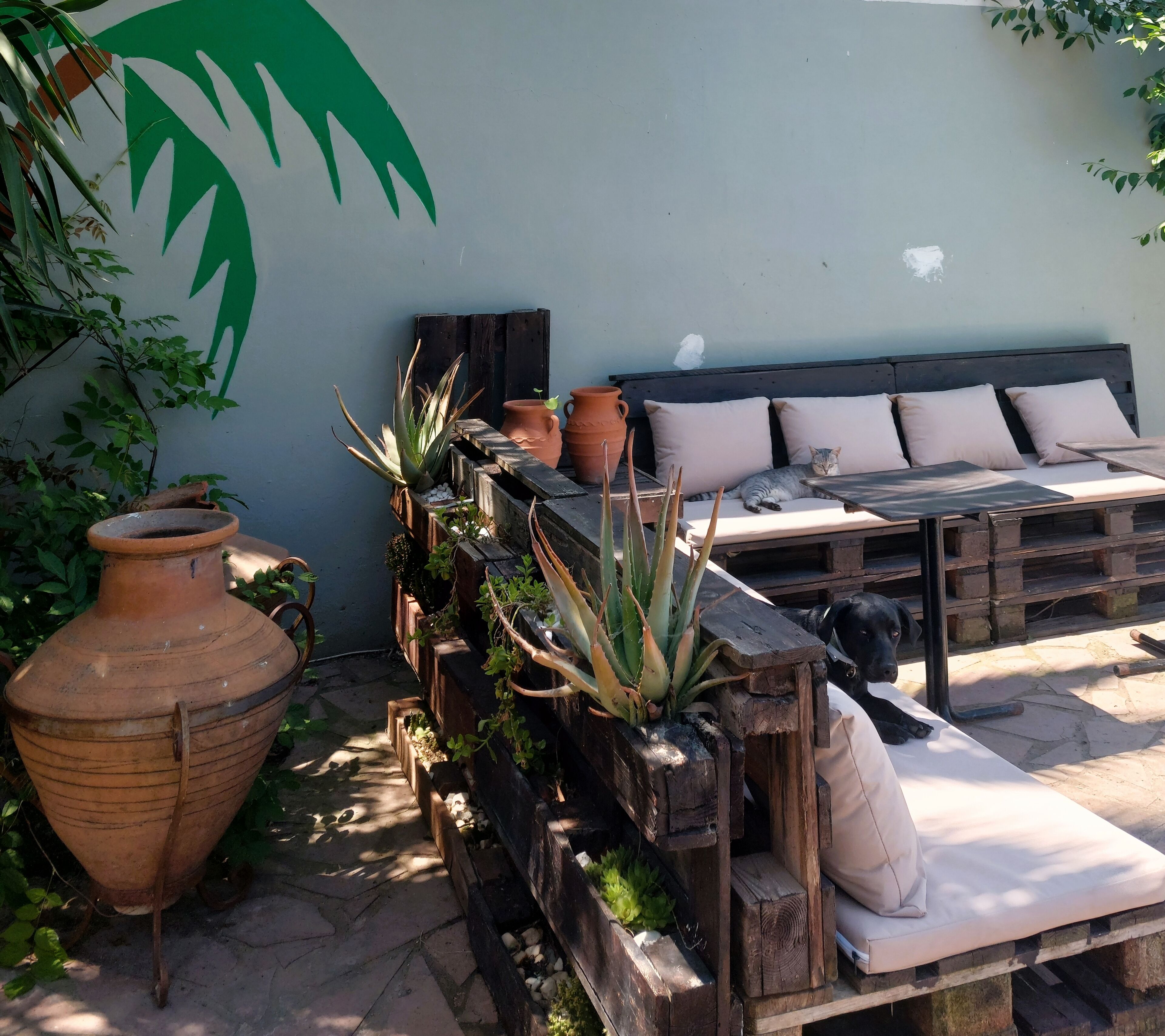 A patio area with a wooden bench, a large terracotta pot, and a planter with various plants.