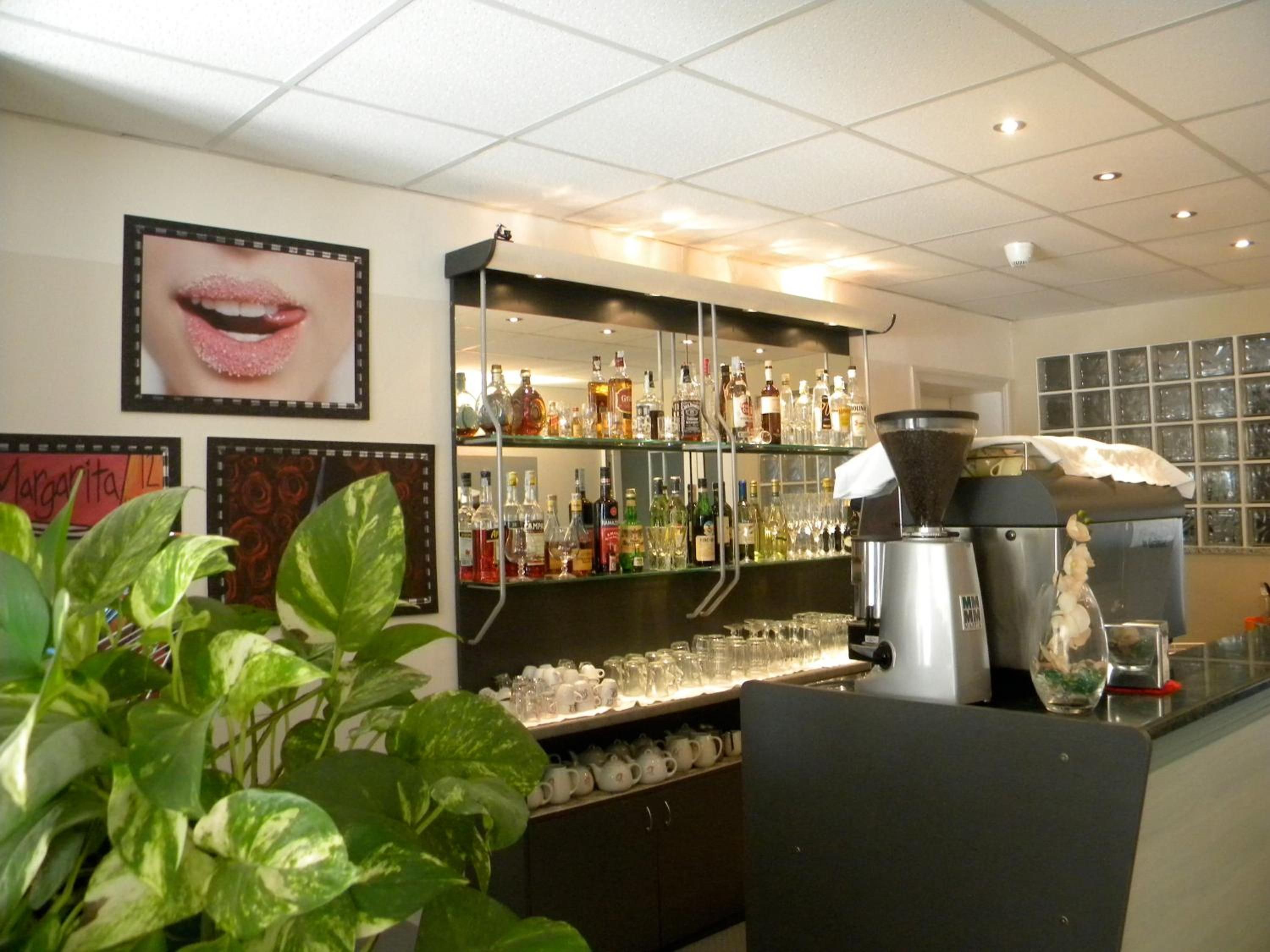 Eine Bar mit Regalen voller Spirituosenflaschen, einer Kaffeemaschine und einer großen Pflanze in einem Topf.