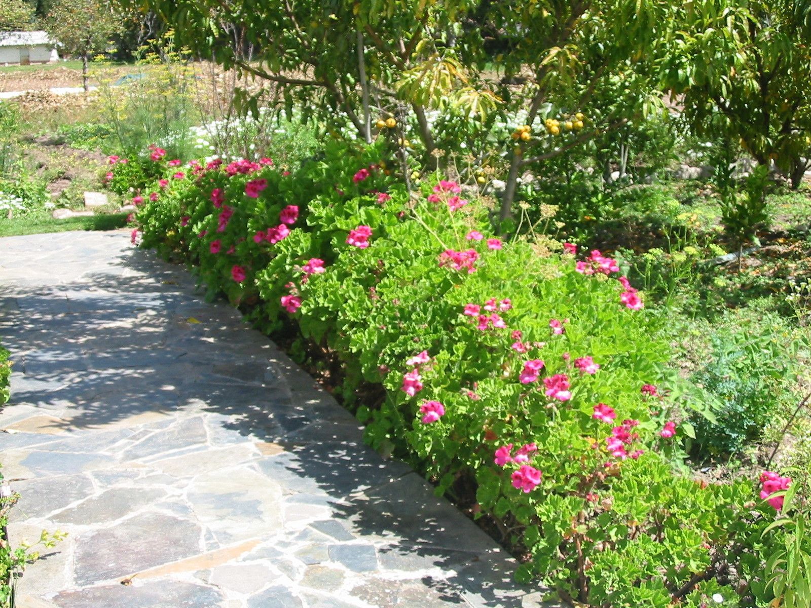 Pemandangan dari hartanah