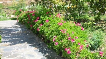 Pemandangan dari hartanah