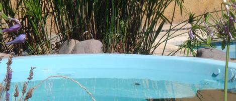 Una piscina al aire libre, sombrillas, sillones reclinables de piscina