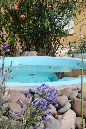 Outdoor pool, pool umbrellas, pool loungers