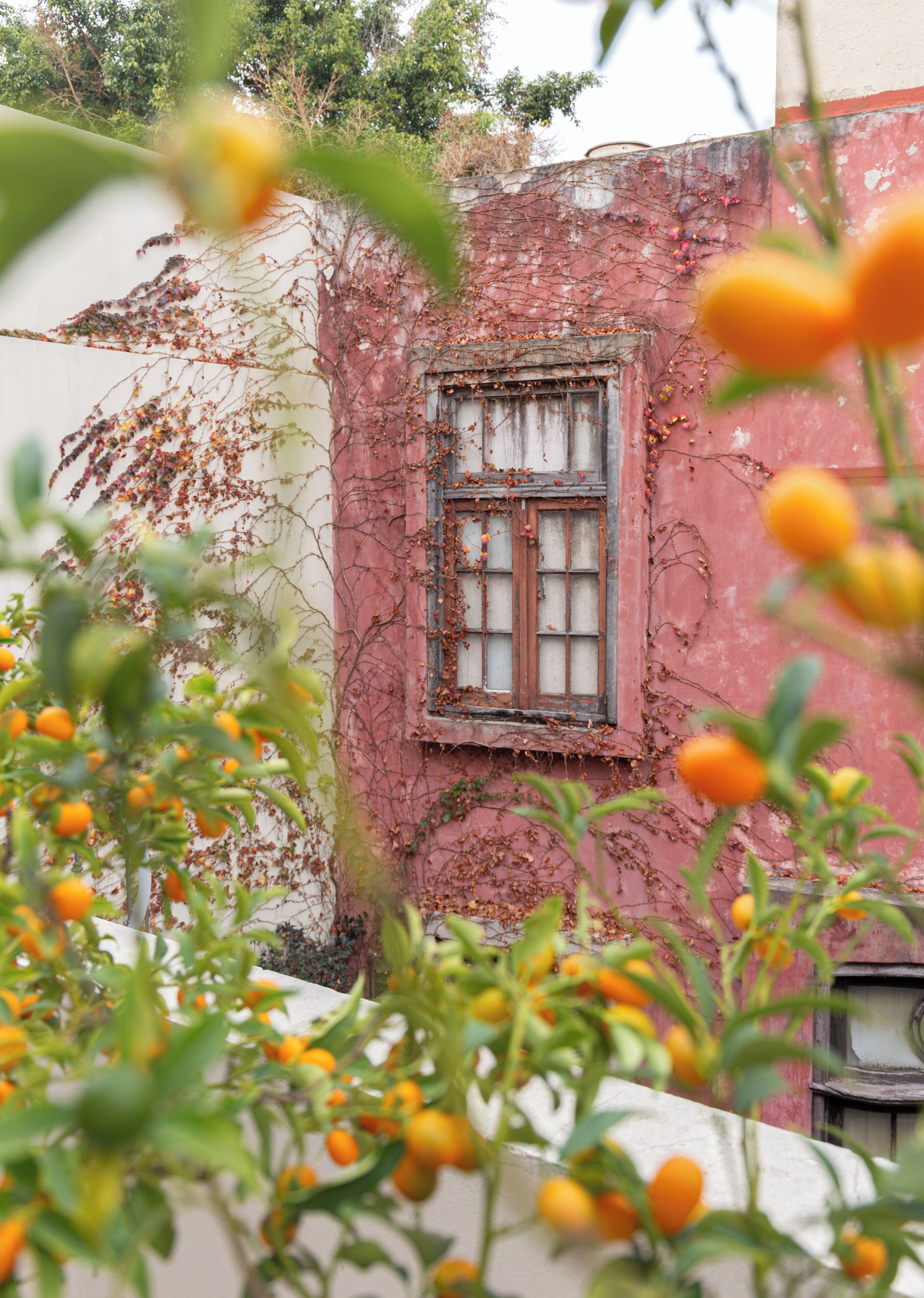 Foto - Casa Chic Palermo Soho