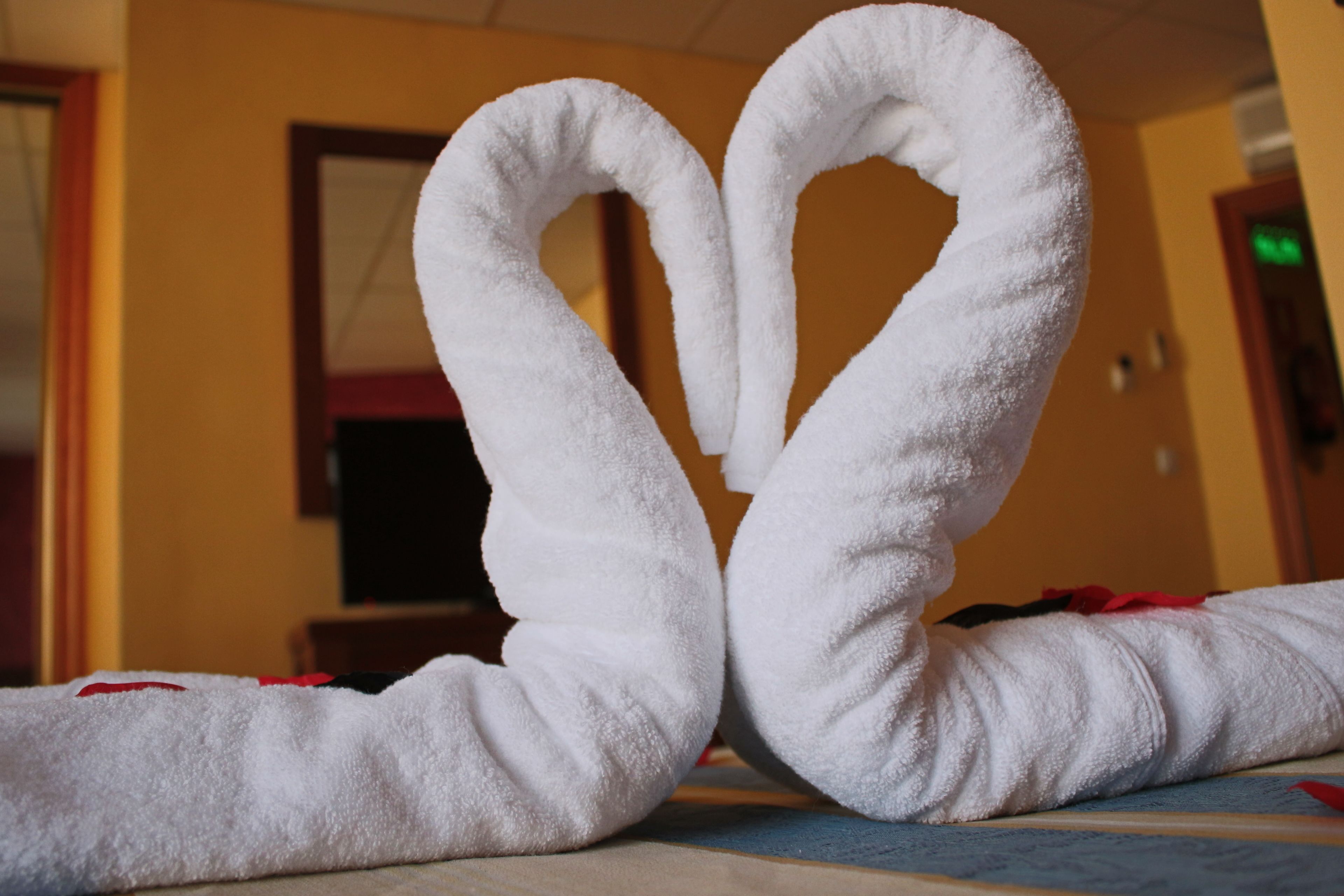 Photo - Hotel La Curva