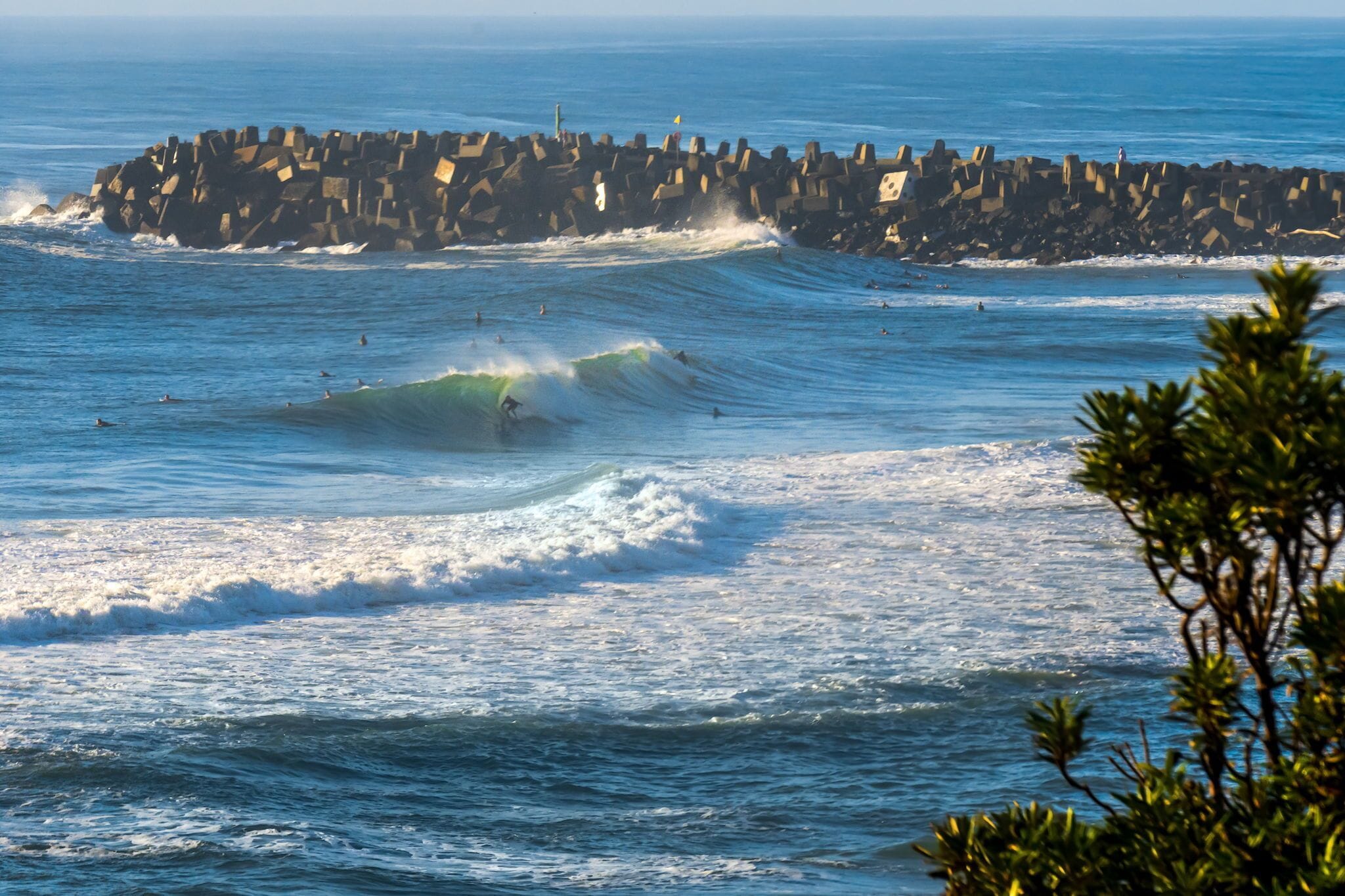 surfing/boogie boarding