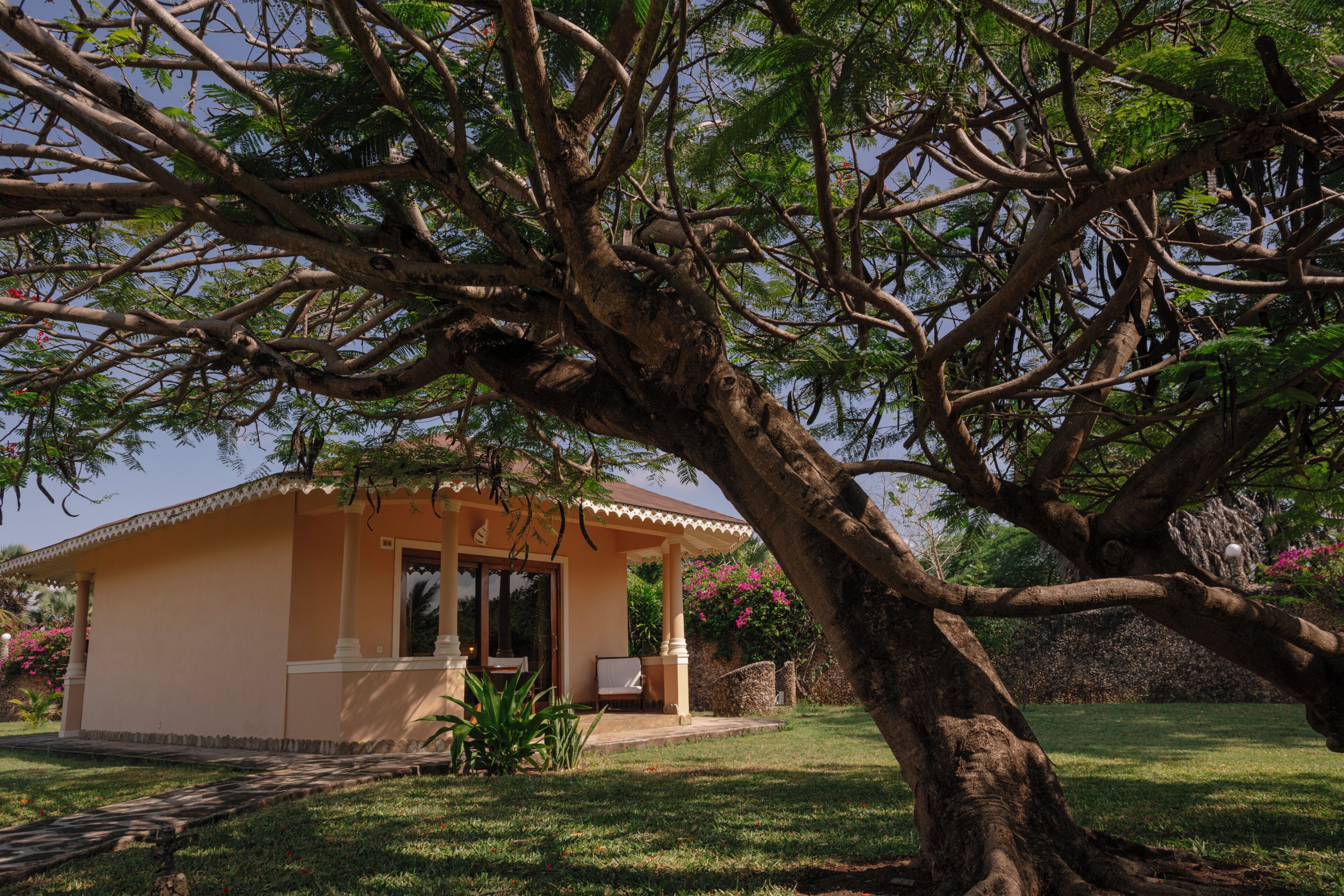 A house with a porch, a lawn, and a large tree in front.