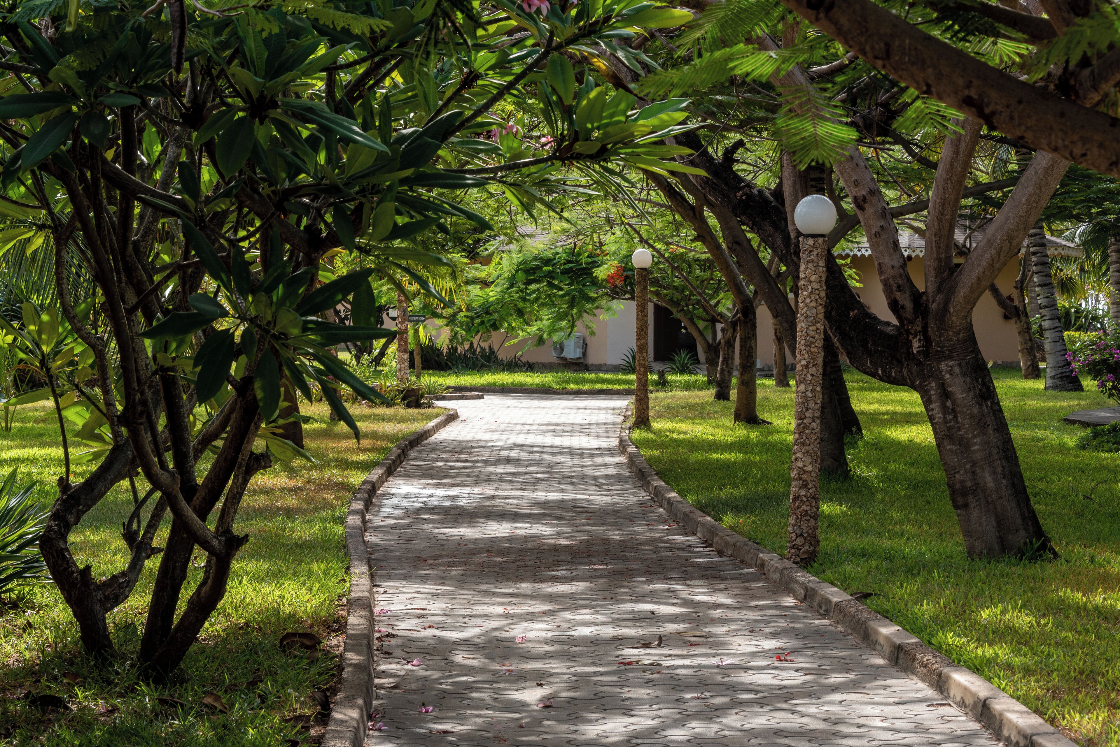 A paved pathway flanked by lush greenery and trees, leading to a building with a light-colored facade.