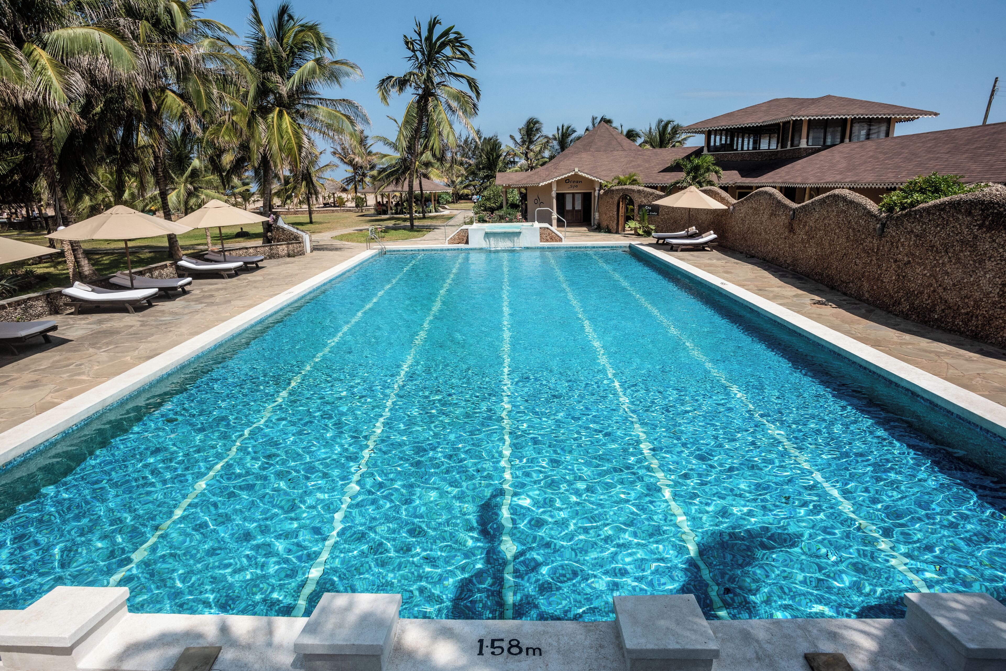 A rectangular swimming pool with clear blue water, surrounded by lounge chairs and umbrellas, palm trees, and a building with a thatched roof.