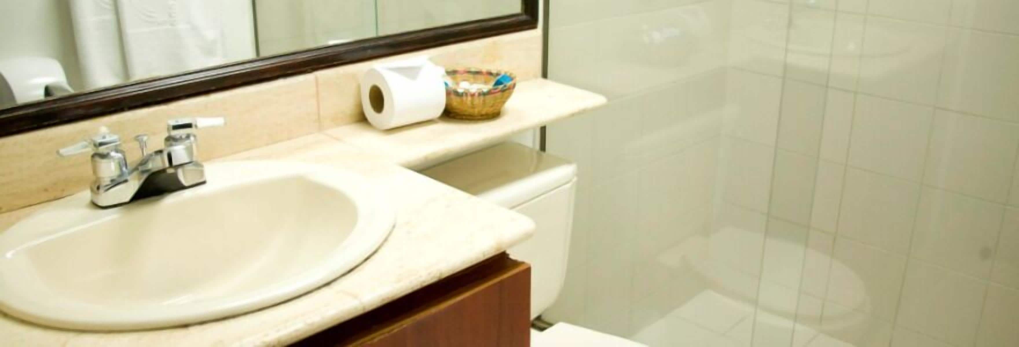 standard suite | bathroom | shower, free toiletries, hair dryer, towels