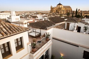 Junior Suite, 1 Queen Bed, Terrace | Terrace/patio
