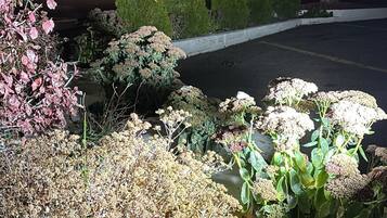 Mặt tiền nơi lưu trú