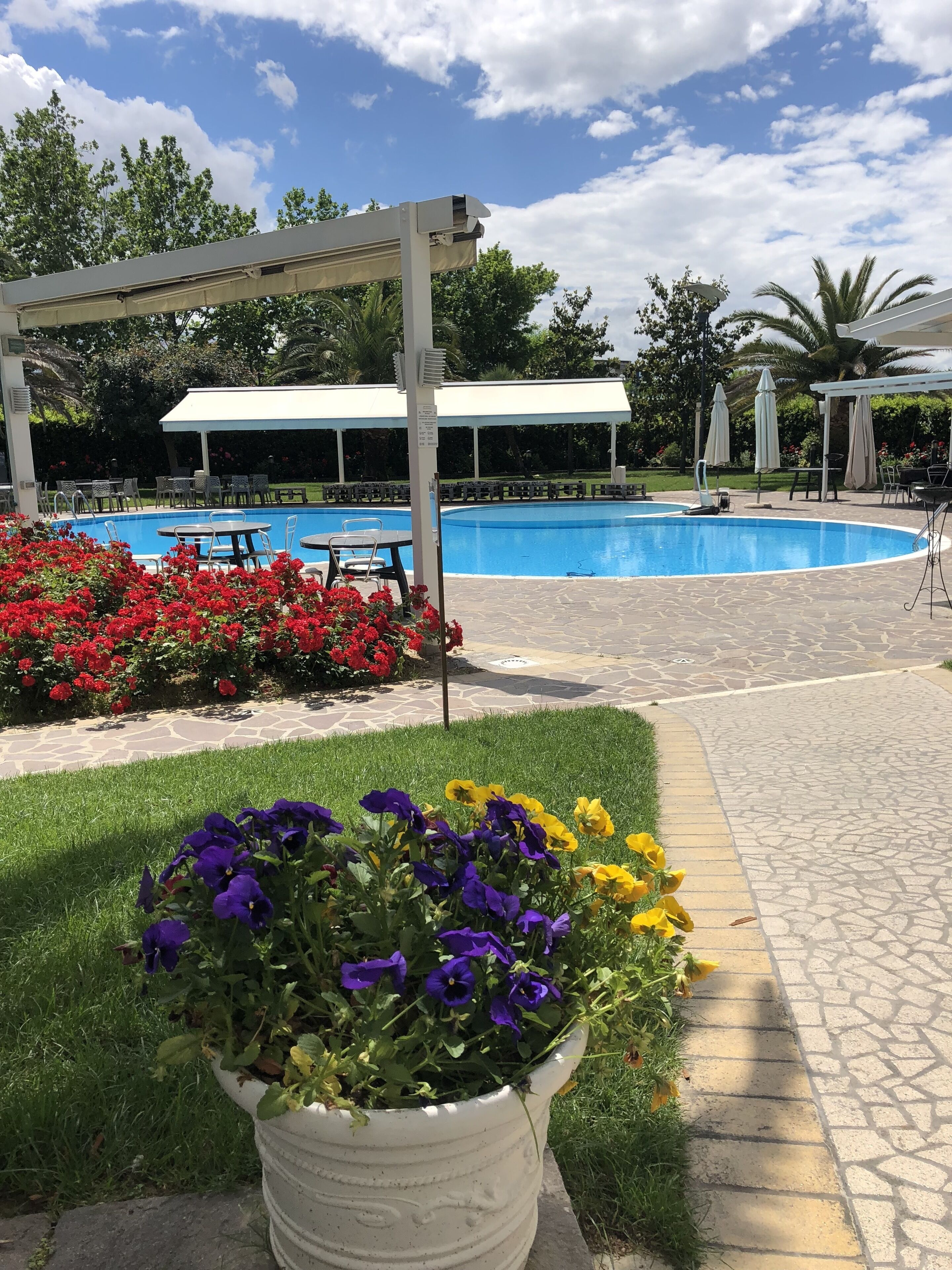 Zona de piscina con área de estar cubierta, una pérgola blanca y un arreglo floral en macetas.
