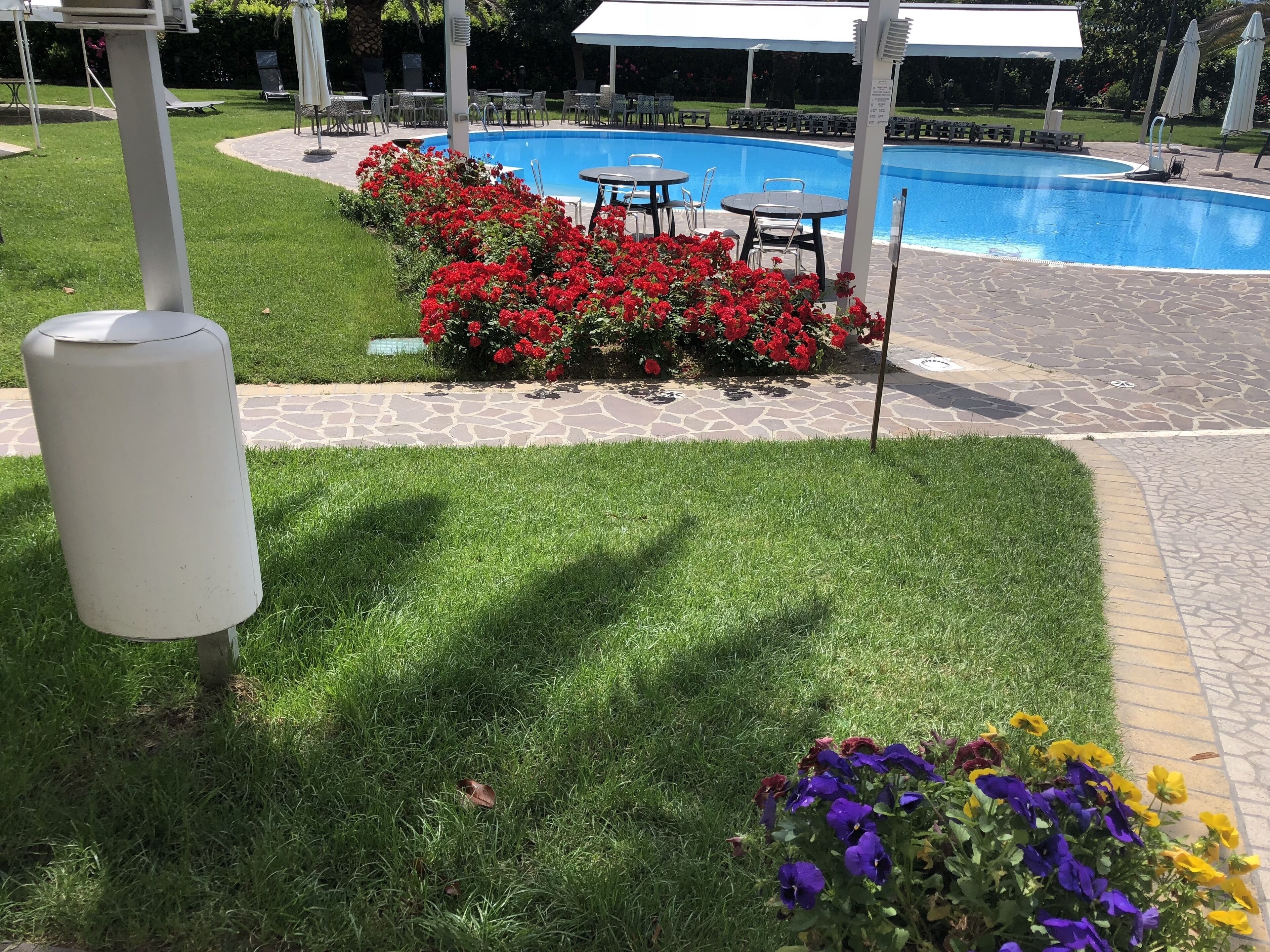 A pool area with a stone pathway, red flowers, and a seating area with tables and chairs.