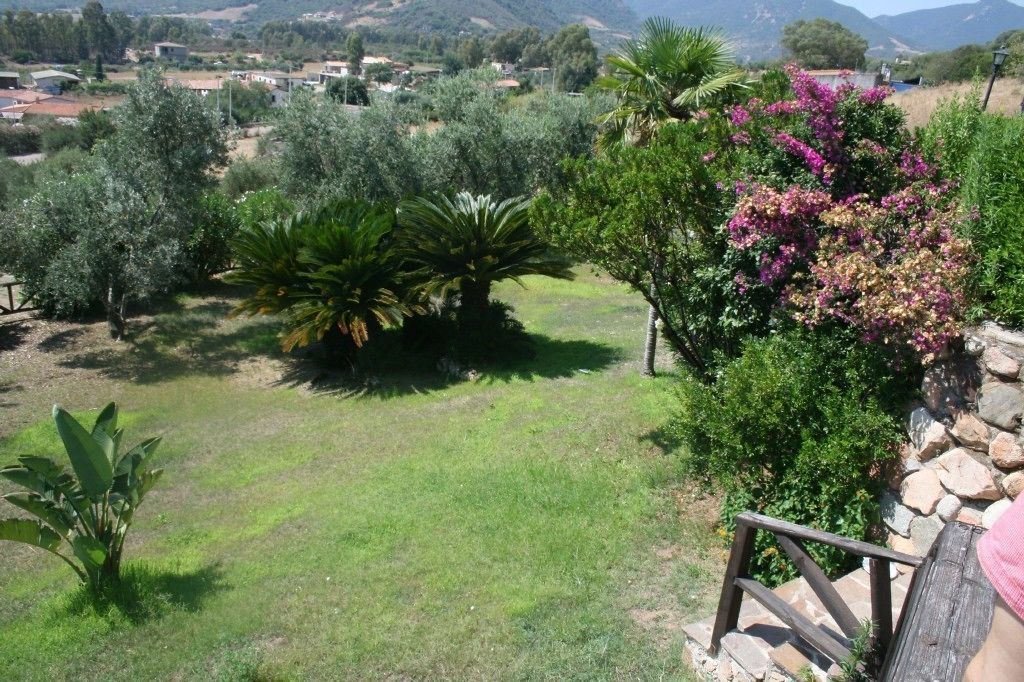 A garden with various plants and a stone wall.
