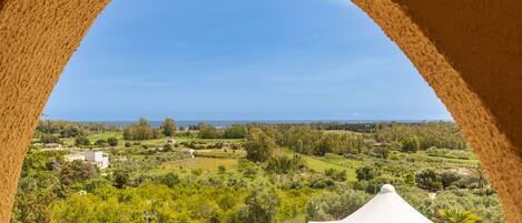 A view through an arched window overlooking a lush landscape with a white tent-like structure in the foreground.