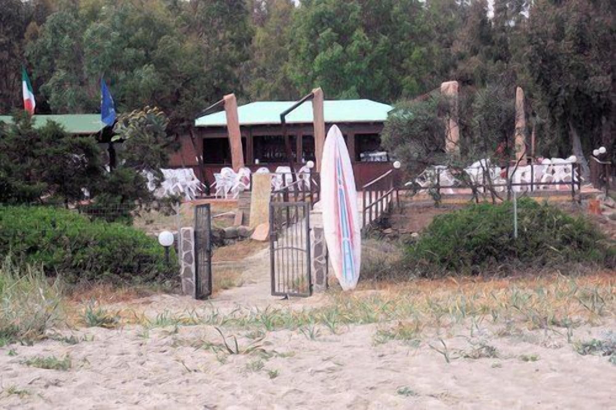 Un bâtiment situé au bord de la plage, doté d’un toit végétalisé, entouré d’arbres et accessible par un sentier sablonneux.