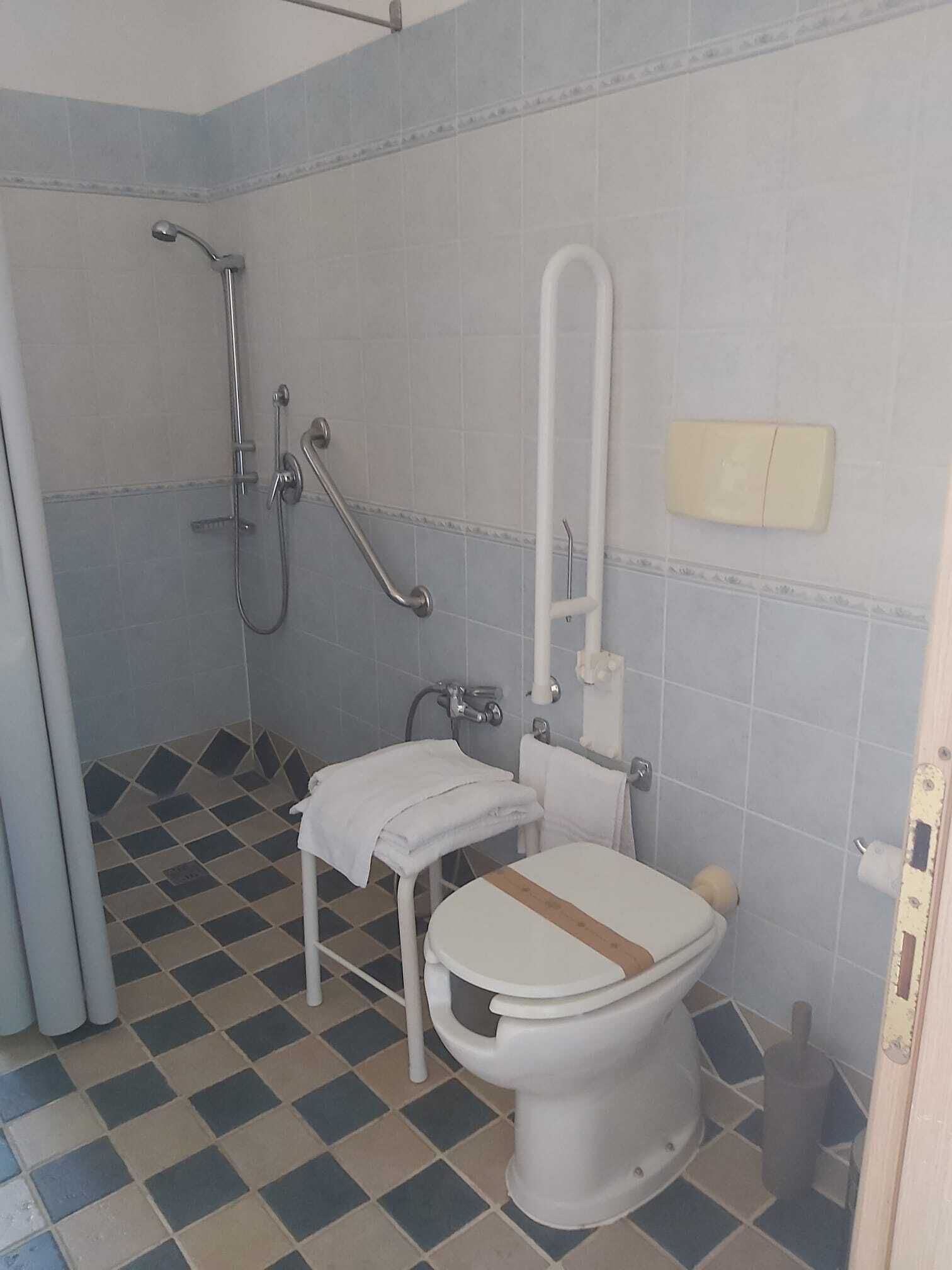 A bathroom with a toilet, a shower, and a grab bar.