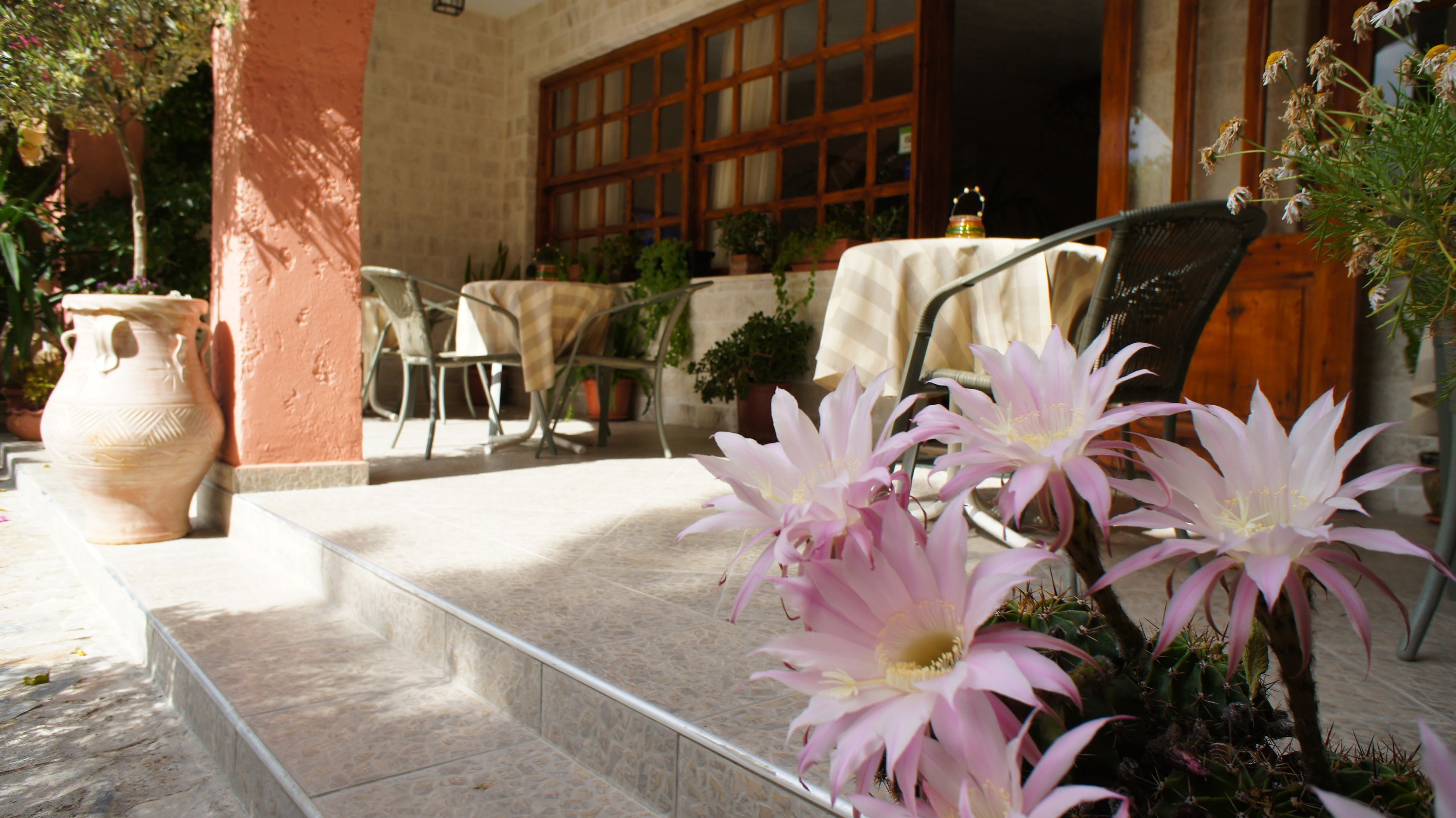 free daily cooked-to-order breakfast