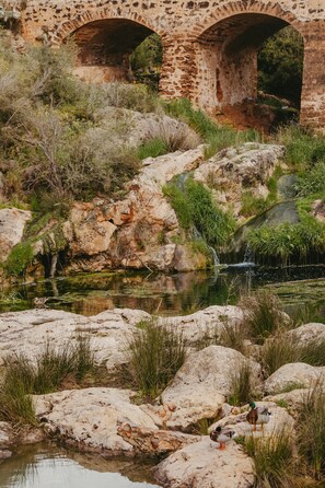 A rustic stone bridge over a small stream with ducks on the rocks.
